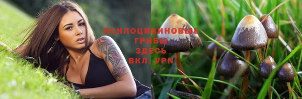 индика Беломорск