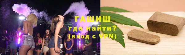 индика Беломорск
