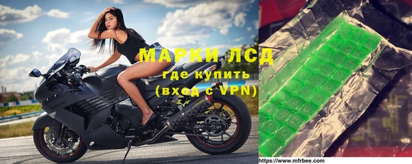 стафф Белокуриха