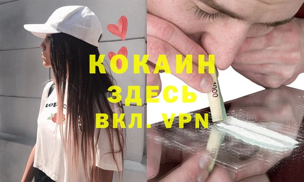 индика Беломорск