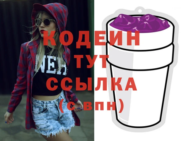 индика Беломорск