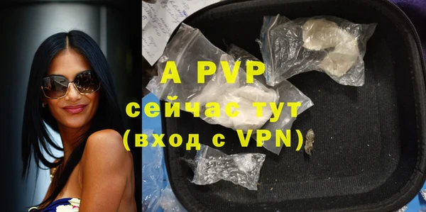 индика Беломорск