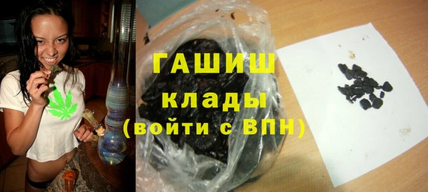 индика Беломорск