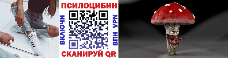 Псилоцибиновые грибы мицелий  Купить закладки  Шатура 