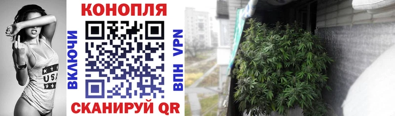 Шишки марихуана VHQ  Купить закладки  Шатура 